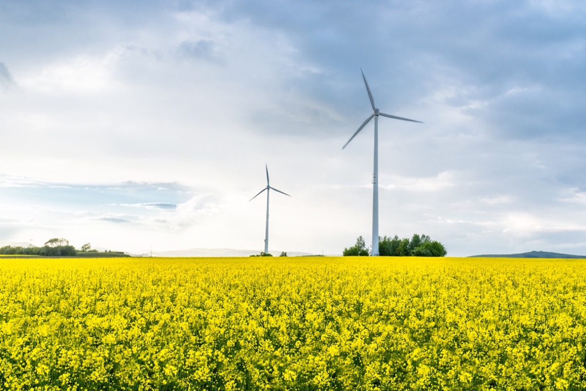 Windkraftanlage als Symbol für erneuerbare Energie